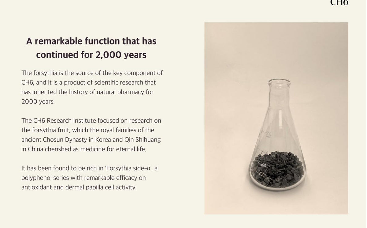 Organic Kalwanji Hair Shampoo CH6 | Herbal Black Seed Hair Cleanser - 400ML